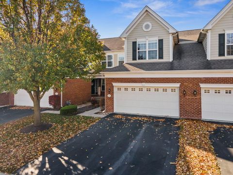 Photo of 1146 Falcon Ridge Drive, Elgin, IL 60124 (MLS # 12572689)