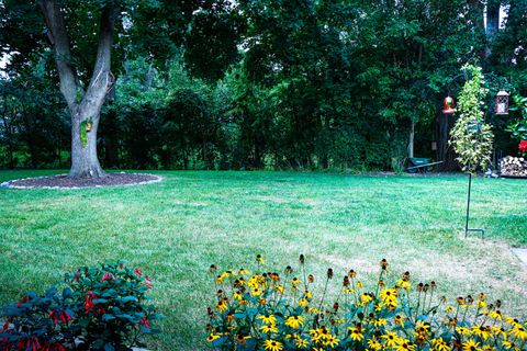 Tiny photo for 1920 N Washington Street, Wheaton, IL 60187 (MLS # 12593136)