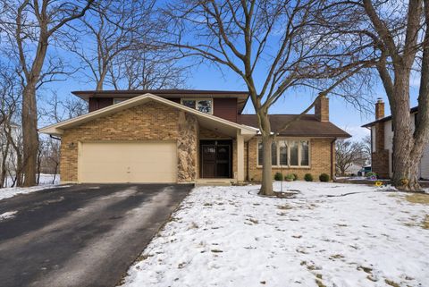 Photo of La Grange Highlands, IL 60525 (MLS # 12523945)
