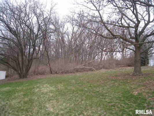 3705 35TH AVE, MOLINE, IL 61265 - Image 72b783e4e5df7fb76a75f1abefdc8c1f/3973291951