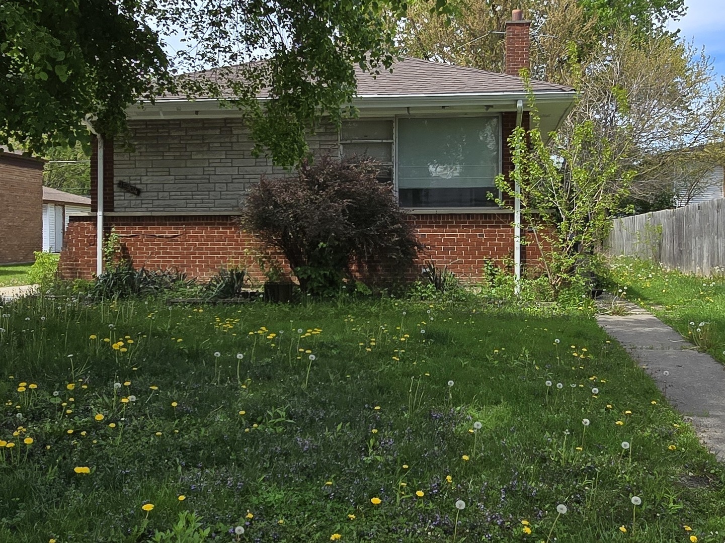 Listing image 6