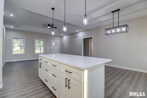 Tiny photo for 1024 11TH Avenue, Fulton, IL 52732 (MLS # QC4267703)