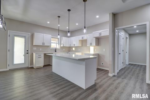 Tiny photo for 1024 11TH Avenue, Fulton, IL 52732 (MLS # QC4267703)