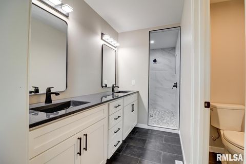 Tiny photo for 1024 11TH Avenue, Fulton, IL 52732 (MLS # QC4267703)