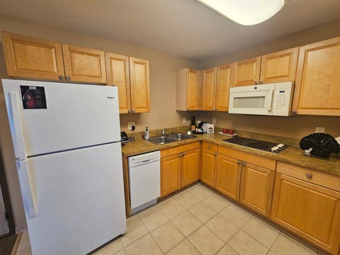 Tiny photo for 123 Center Street #204, Lake Geneva, WI 53147 (MLS # 12666144)