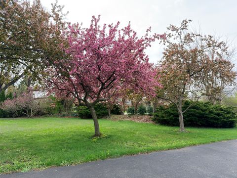 Tiny photo for 218 E Nerge Road, Roselle, IL 60172 (MLS # 12633280)