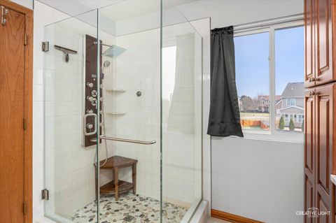 Tiny photo for 7651 Pin Oak Court, Plainfield, IL 60586 (MLS # 12542385)