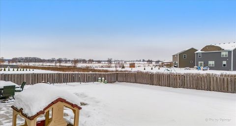 Tiny photo for 1482 Hollow Tree Lane, Pingree Grove, IL 60140 (MLS # 12527638)