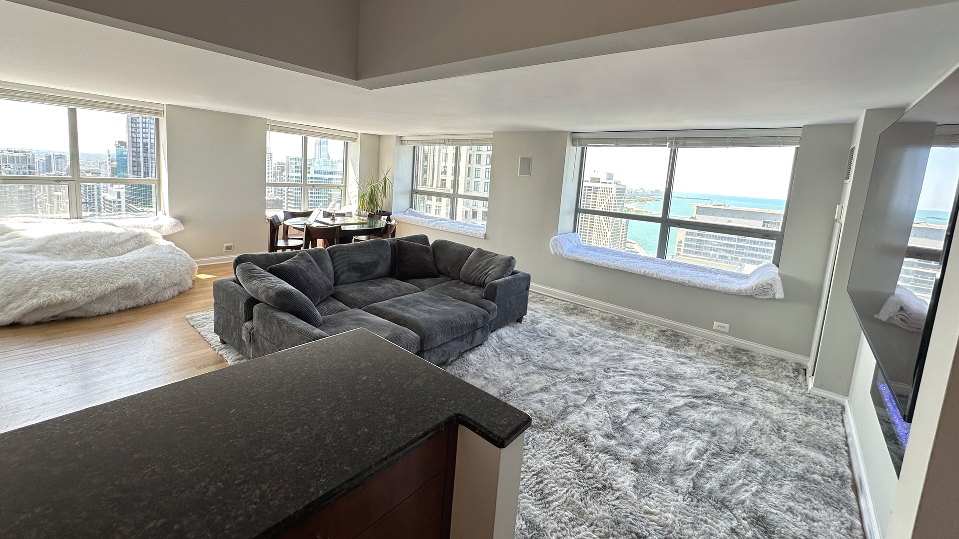 474 N Lake Shore Drive 6101