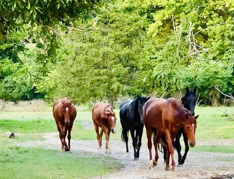 Tiny photo for 4996 Andrew Road, Marion, IL 62959 (MLS # 12556077)