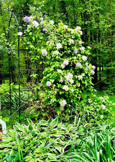 Tiny photo for 4996 Andrew Road, Marion, IL 62959 (MLS # 12556077)