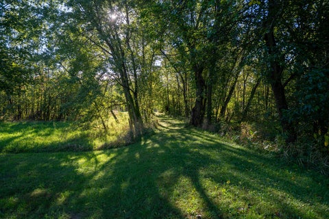 Tiny photo for 17040 Diamond Road, Fulton, IL 61252 (MLS # 12753173)