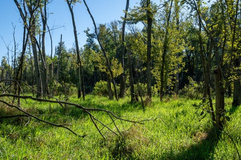 Tiny photo for 17040 Diamond Road, Fulton, IL 61252 (MLS # 12753173)