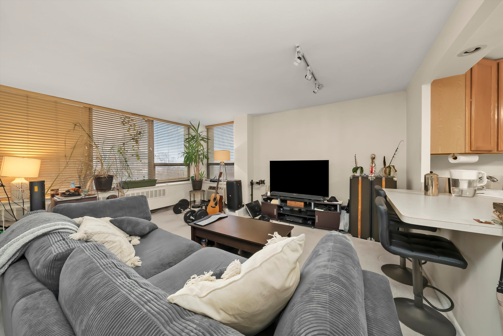 1460 N SANDBURG Terrace 705