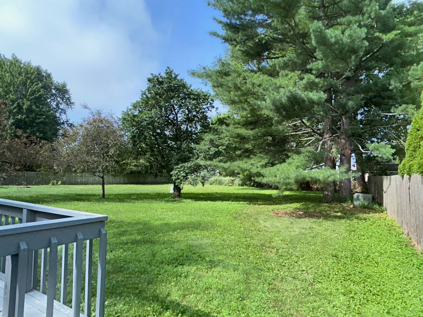 1085 Mallard Drive