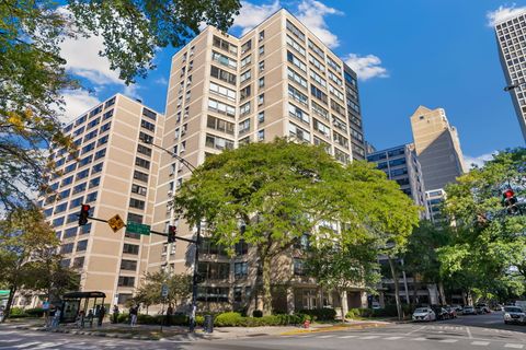 Photo of 5050 S East End Avenue #2D, Chicago, IL 60615 (MLS # 12491026)
