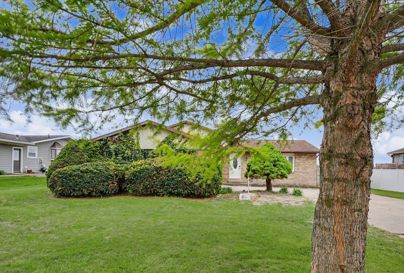 2229 Jeffery Drive