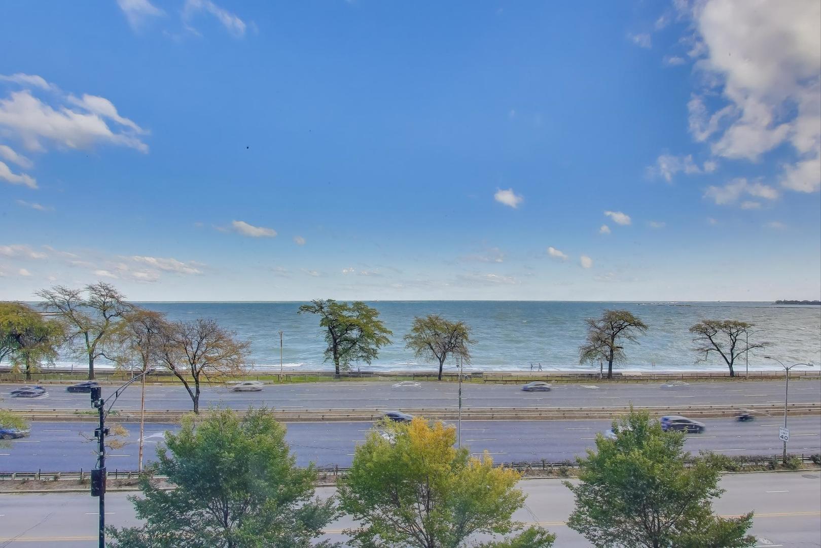 1440 N Lake Shore Drive 5D