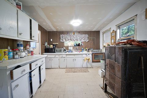 Tiny photo for 4 Maple Island Is S, Momence, IL 60954 (MLS # 12268240)