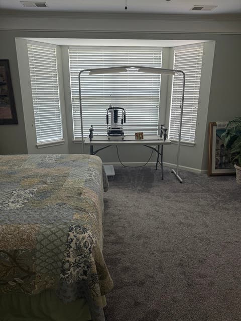 Tiny photo for 14082 Francesca Cove, Huntley, IL 60142 (MLS # 12709200)