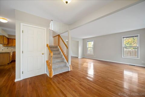 Tiny photo for 2465 Barn Owl Lane, Elgin, IL 60124 (MLS # 12505580)