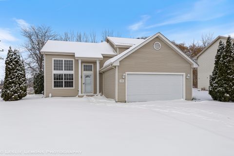 Photo of 4798 W Lilac Avenue, Monee, IL 60449 (MLS # 12524087)