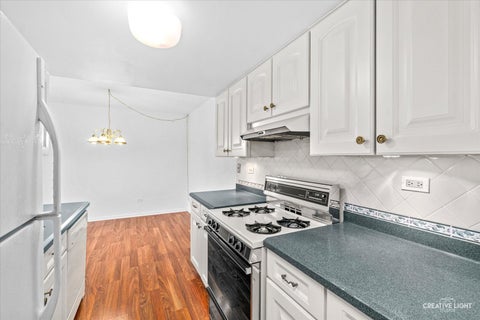 Tiny photo for 502 Redondo Drive #208, Downers Grove, IL 60516 (MLS # 12743692)