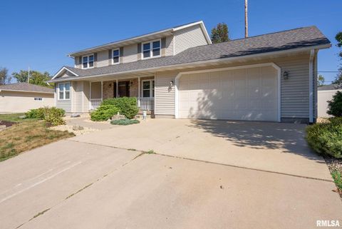 Tiny photo for 306 13TH Avenue, De Witt, IA 52742 (MLS # QC4267905)
