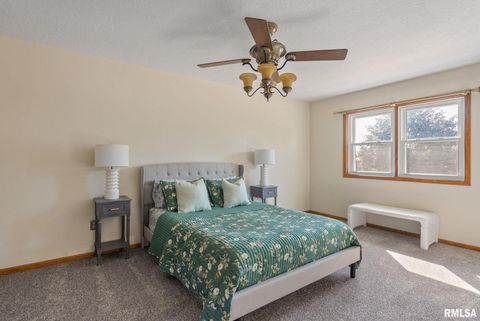 Tiny photo for 306 13TH Avenue, De Witt, IA 52742 (MLS # QC4267905)