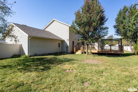 Tiny photo for 306 13TH Avenue, De Witt, IA 52742 (MLS # QC4267905)