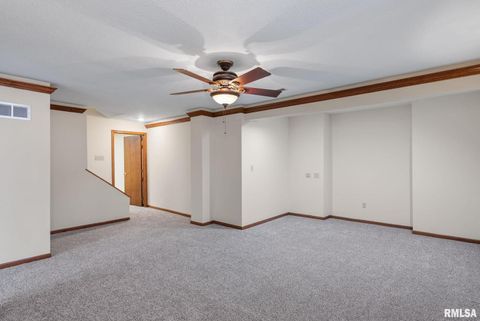 Tiny photo for 306 13TH Avenue, De Witt, IA 52742 (MLS # QC4267905)