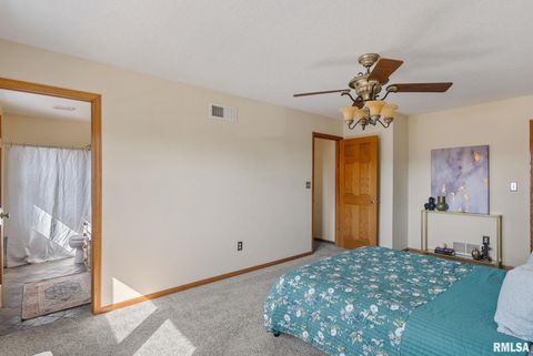 Tiny photo for 306 13TH Avenue, De Witt, IA 52742 (MLS # QC4267905)