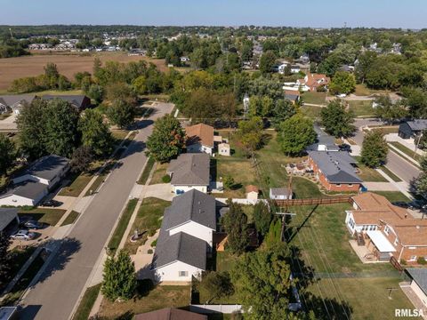 Tiny photo for 306 13TH Avenue, De Witt, IA 52742 (MLS # QC4267905)