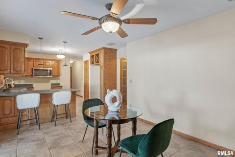 Tiny photo for 306 13TH Avenue, De Witt, IA 52742 (MLS # QC4267905)