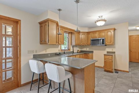 Tiny photo for 306 13TH Avenue, De Witt, IA 52742 (MLS # QC4267905)