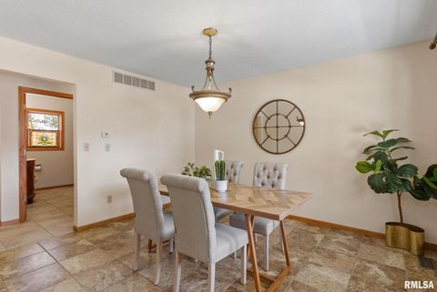 Tiny photo for 306 13TH Avenue, De Witt, IA 52742 (MLS # QC4267905)