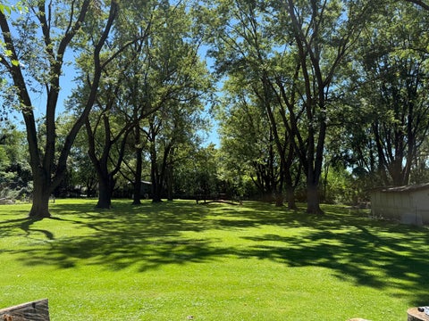 Tiny photo for 15800 Chappel Street, South Holland, IL 60473 (MLS # 12719401)