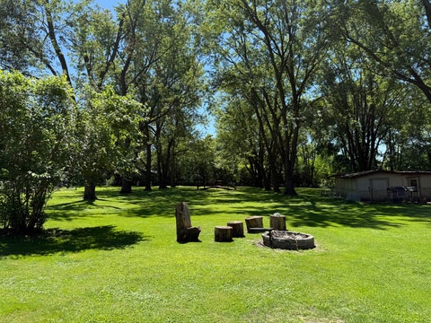 Tiny photo for 15800 Chappel Street, South Holland, IL 60473 (MLS # 12719401)