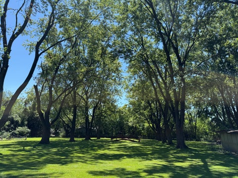Tiny photo for 15800 Chappel Street, South Holland, IL 60473 (MLS # 12719401)