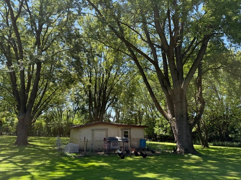 Tiny photo for 15800 Chappel Street, South Holland, IL 60473 (MLS # 12719401)