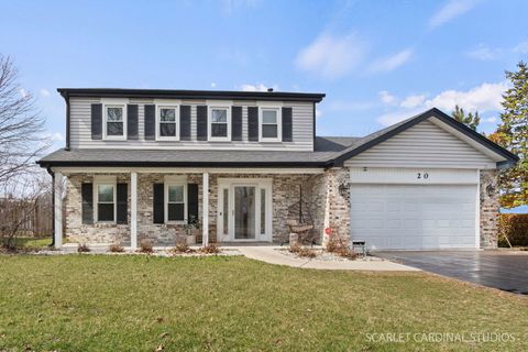 Tiny photo for 20 Shore Drive, Schaumburg, IL 60193 (MLS # 12598490)