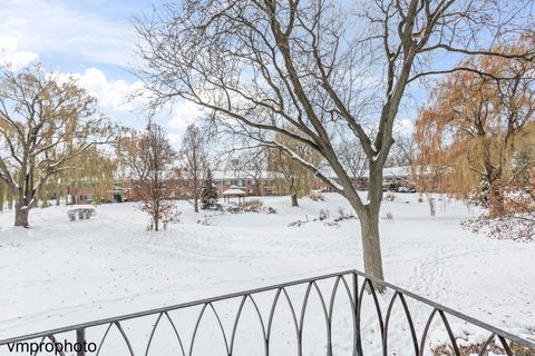 Tiny photo for 707 E Falcon Drive #C207, Arlington Heights, IL 60005 (MLS # 12523204)