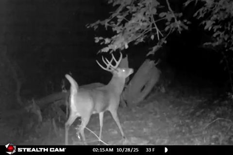 Tiny photo for 20798 White Oaks Road, Morrison, IL 61270 (MLS # 12590411)