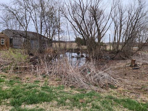 Tiny photo for 1524 County Road 1800 N, Dahlgren, IL 62828 (MLS # 12592581)