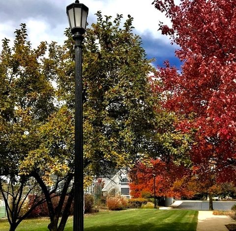 Tiny photo for Bloomingdale, IL 60108 (MLS # 12600304)