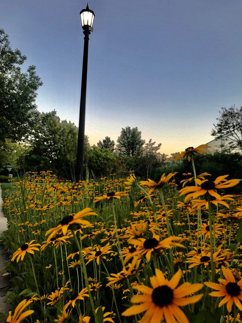 Tiny photo for Bloomingdale, IL 60108 (MLS # 12600304)