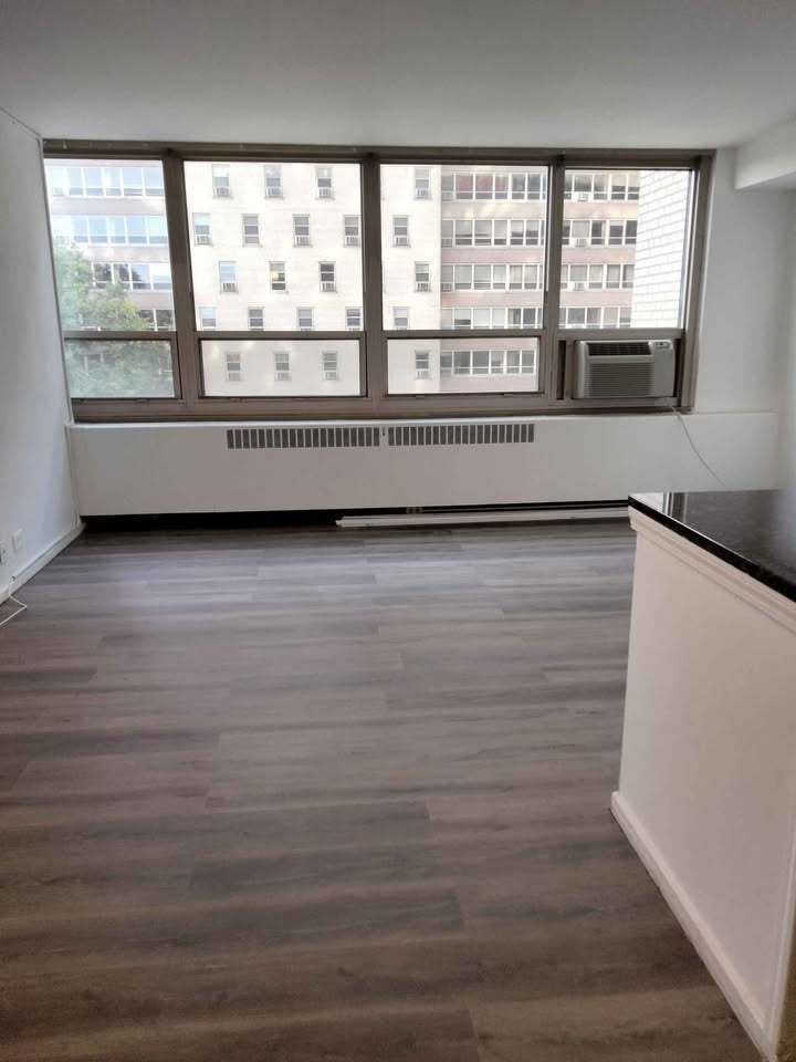 3950 N Lake Shore Drive 501