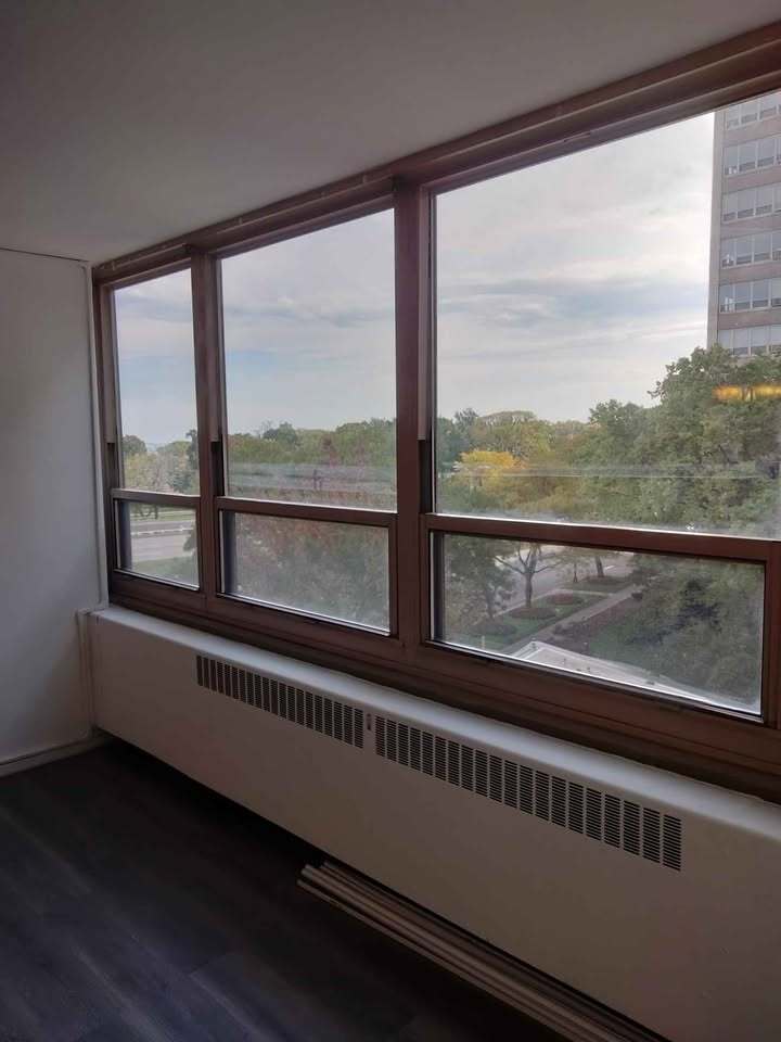 3950 N Lake Shore Drive 501