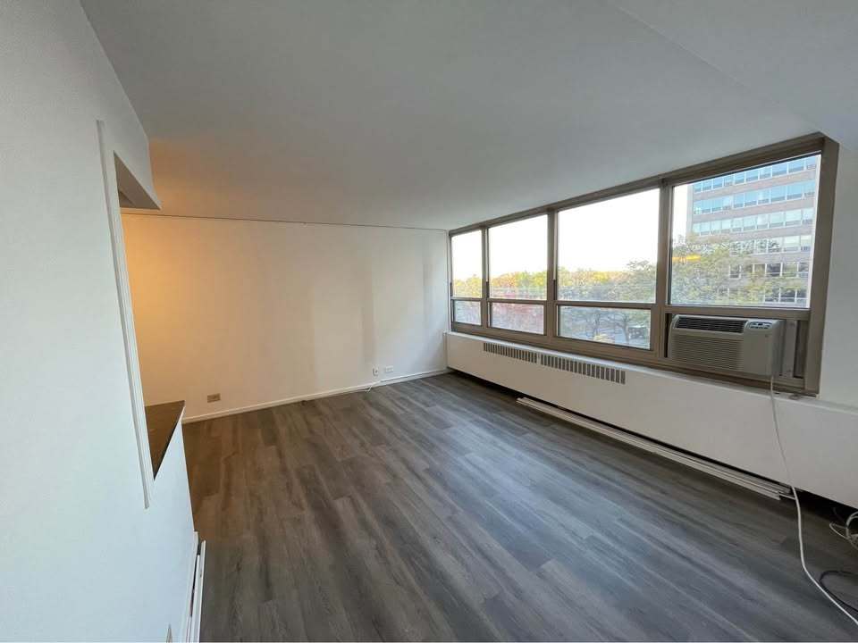 3950 N Lake Shore Drive 501