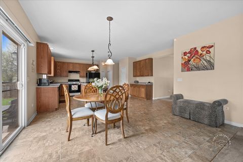 Tiny photo for 257 Hanburg Lane, Bolingbrook, IL 60440 (MLS # 12618401)